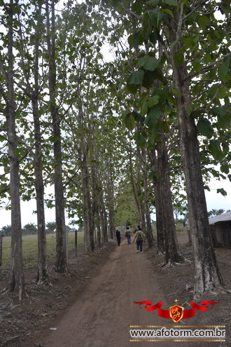 afotorm
